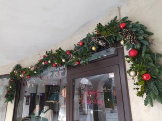 Fleuriste La Dame aux Fleurs 0