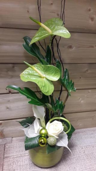 Fleuriste Delflore 2