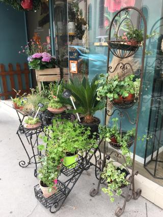 Fleuriste Lili Flora 0