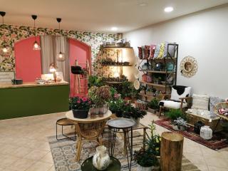 Fleuriste Les Belles Fleurs de Fanny 0