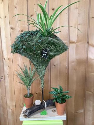 Fleuriste Vert-Tige 0