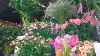 Fleuriste Le Jardin des Druides 0