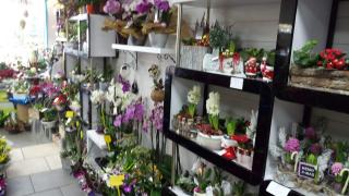 Fleuriste Art F'laure 0