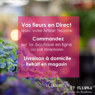 Fleuriste Les établissements Planche 0