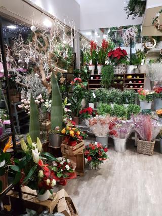 Fleuriste Paris Tours Fleurs 0