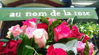 Fleuriste Dorothy Rose 1