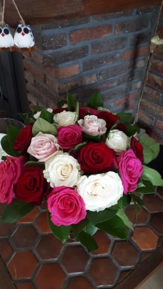 Fleuriste Dorothy Rose 0