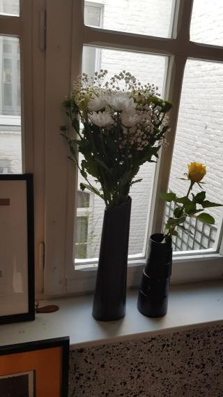 Fleuriste Dorothy Rose 0