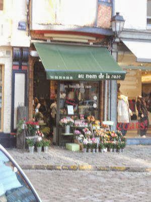 Fleuriste Dorothy Rose 0