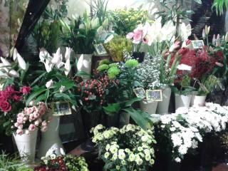Fleuriste EVELYNE FLEURS 0