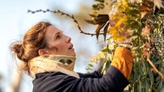 Fleuriste L'Atelier du Chardon 0
