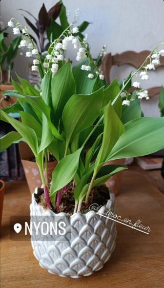 Fleuriste La Broc en Fleur 2