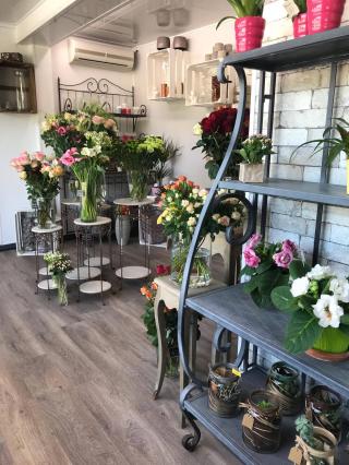 Fleuriste L'Edelweiss 0