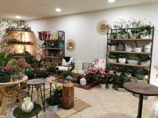 Fleuriste Les Belles Fleurs de Fanny 0