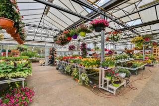 Fleuriste Côté Nature Santeny 0