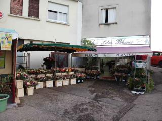 Fleuriste Aux Lilas Blancs 0