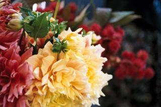 Fleuriste Atelier Domi 0