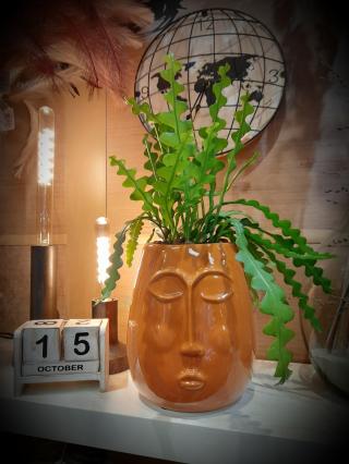 Fleuriste Aux anges fleuris 1