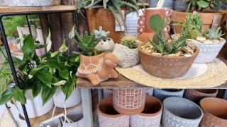 Fleuriste Atelier des fleurs 0