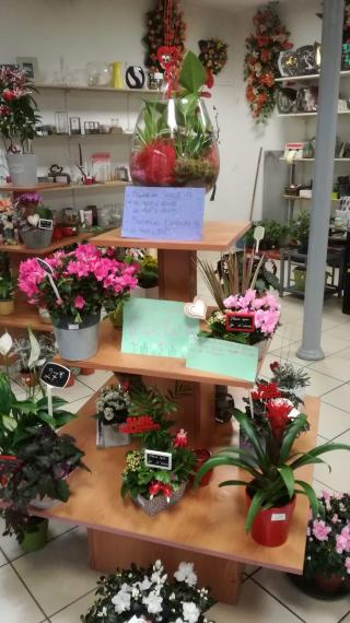 Fleuriste lascaux fleurs 0