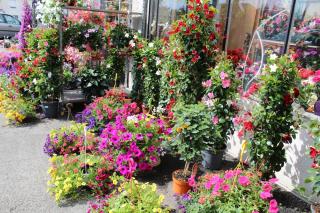 Fleuriste Art Fleurs et Jardins 0