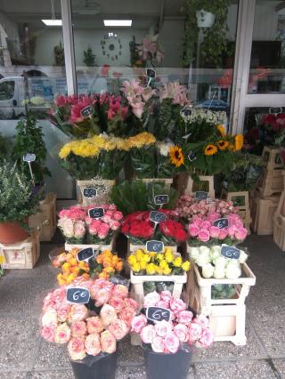 Fleuriste Noailles Fleurs 0