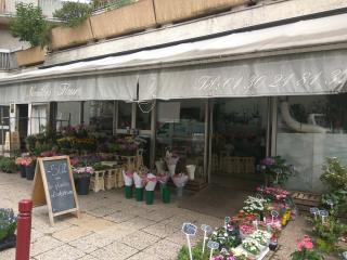 Fleuriste Noailles Fleurs 0