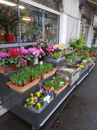 Fleuriste Roses et Sens 0