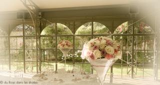 Fleuriste du Rose dans les etoiles 0