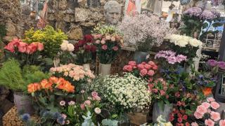 Fleuriste WISTERIA Fleuriste - Bouquets à Paris 14eme 0