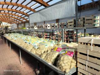 Fleuriste Truffaut-Les Jardins de Provence 2