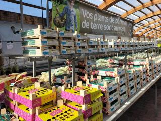 Fleuriste Truffaut-Les Jardins de Provence 0