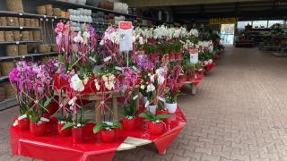 Fleuriste Truffaut-Les Jardins de Provence 0