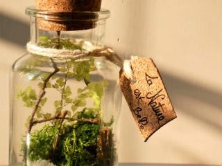 Fleuriste Ca swing chez la fleuriste, Médaille D’or Régionale Coupe Espoir Interflora 0