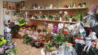 Fleuriste Fleurs Plus 0