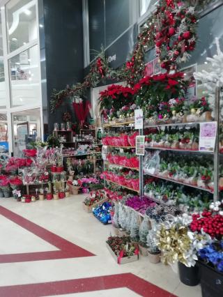 Fleuriste Fleurs d'Osny 1