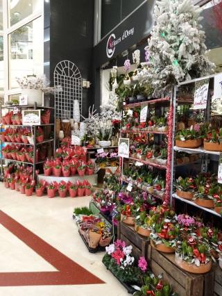 Fleuriste Fleurs d'Osny 0