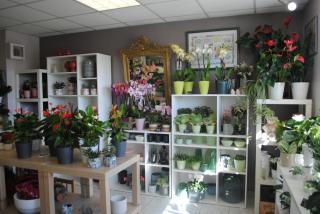 Fleuriste Laurence Fleurs 0
