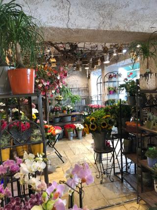 Fleuriste Patrick Gard Fleurs & Creations 2