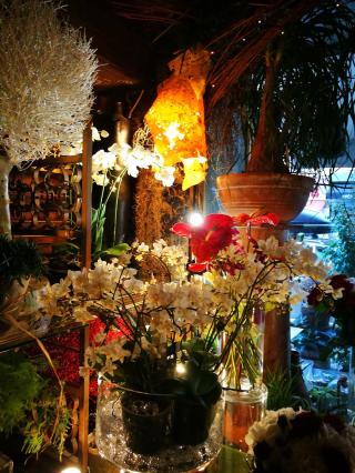 Fleuriste L'Orchidée Bastia | Fleuriste Bastia 0