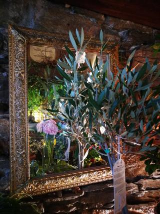 Fleuriste L'Orchidée Bastia | Fleuriste Bastia 0