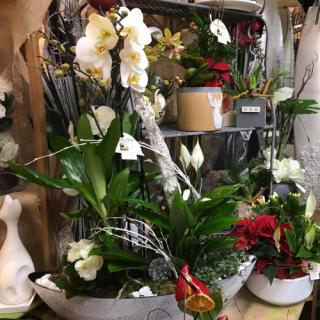 Fleuriste Laurence fleurs, Artisan Fleuriste Lorgues 0