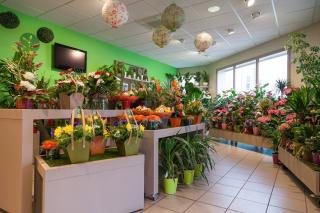 Fleuriste Le Jardin des Fleurs 0