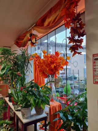 Fleuriste Le bonheur des plantes fleuriste 0