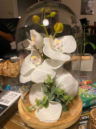 Fleuriste VERT'TIGE DE FLEURS 0