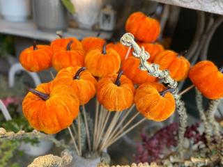 Fleuriste Quelques Fleurs - Patricia Schrotzenberger - Artisane Fleuriste à Metz 0