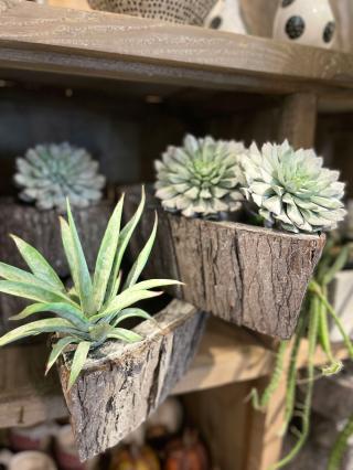 Fleuriste Quelques Fleurs - Patricia Schrotzenberger - Artisane Fleuriste à Metz 0