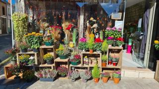 Fleuriste Fleurs De Sologne Artisan Fleuriste 1
