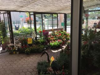 Fleuriste Le Jardin Coquelicot 0