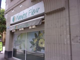 Fleuriste Planète Fleur 0